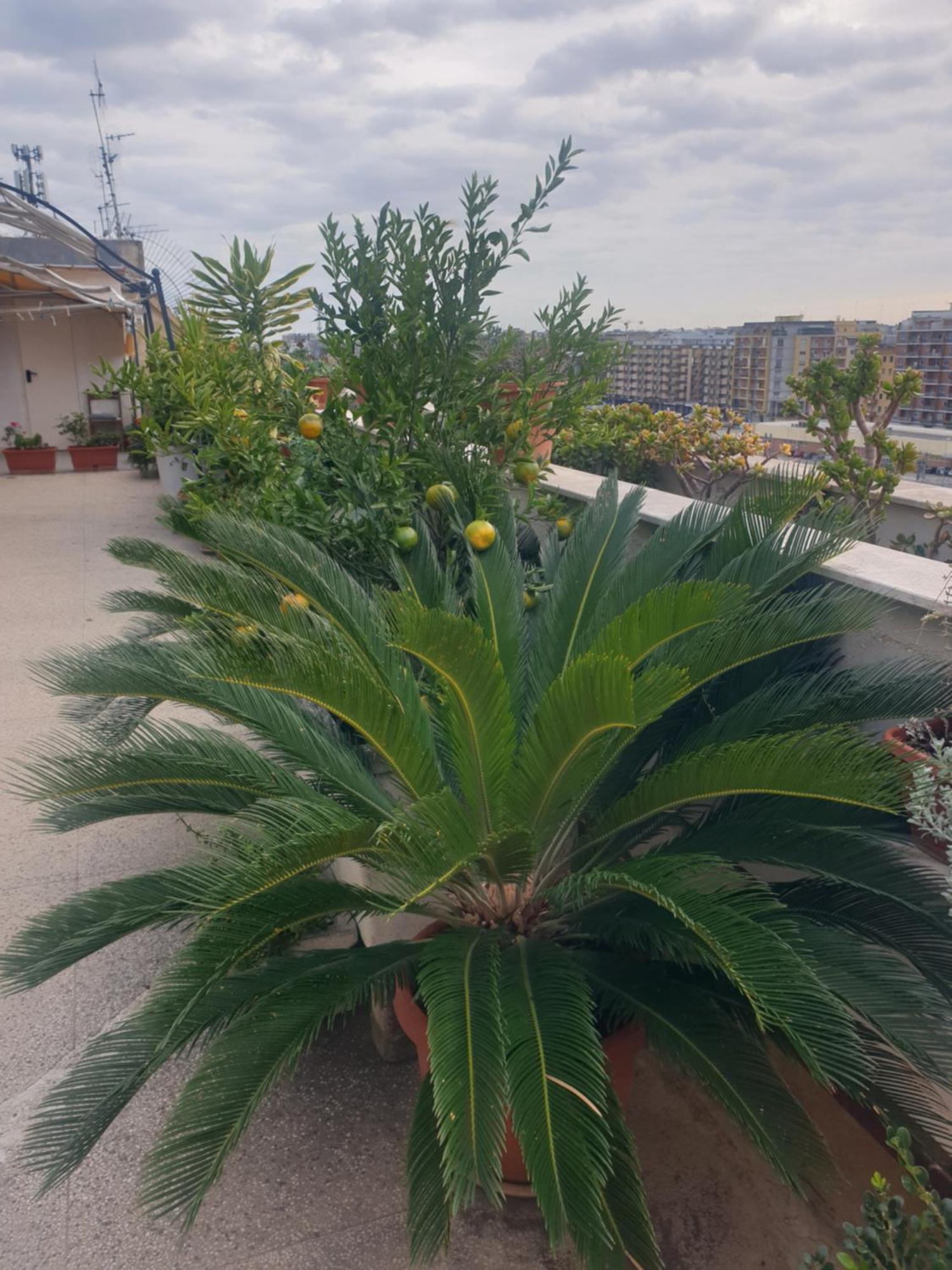 B&B Ganaj La Terrazza Di Ganaj Bari Ngoại thất bức ảnh