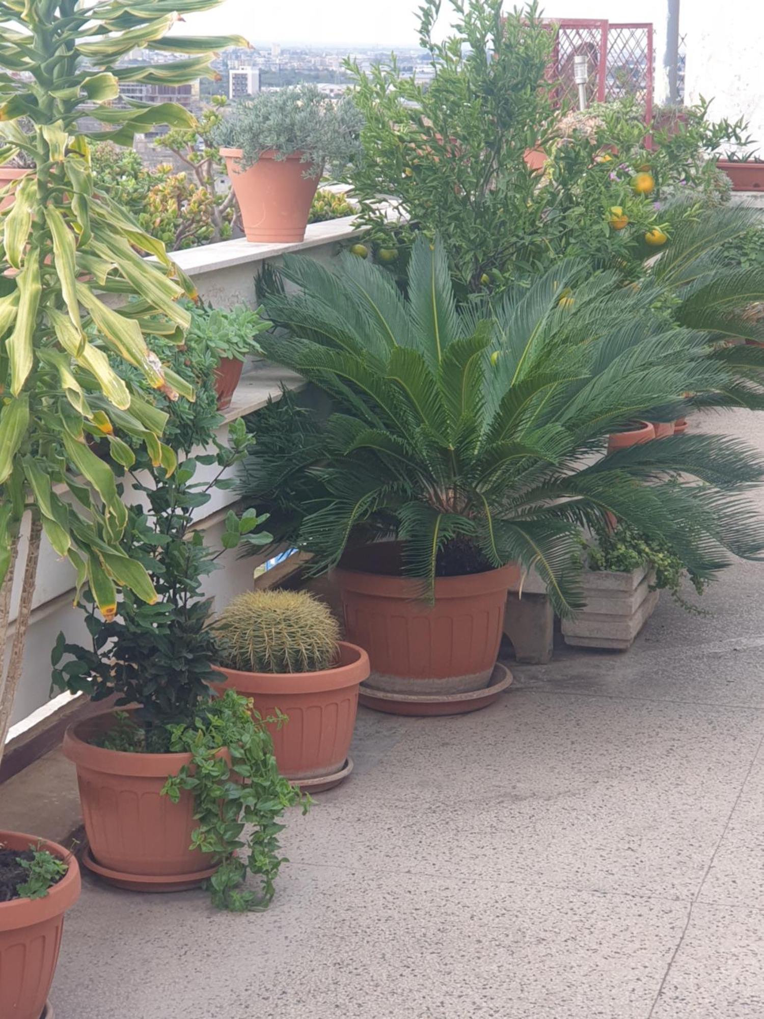 B&B Ganaj La Terrazza Di Ganaj Bari Ngoại thất bức ảnh